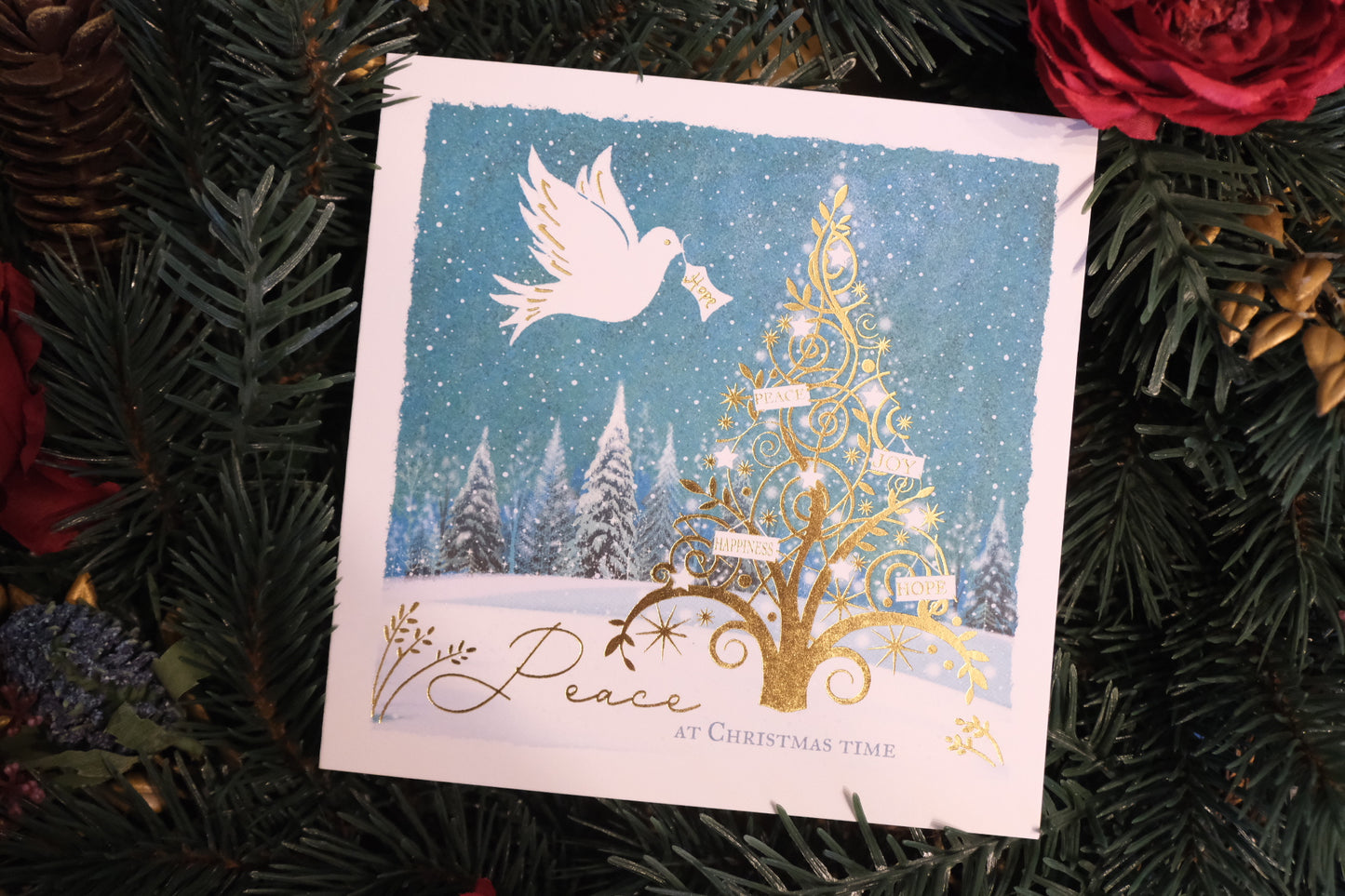 Dove of Peace Christmas Cards - 10 pack