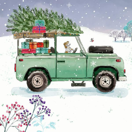 Christmas Delivery Christmas Cards - 10 pack