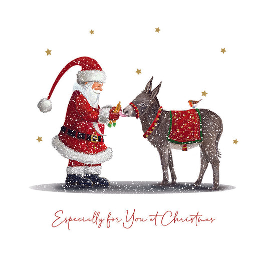 Santa and Donkey Charity Christmas Cards - 10 Pack