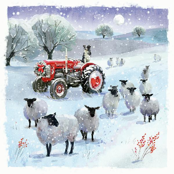 Tractor with sheep in a snowy landscape