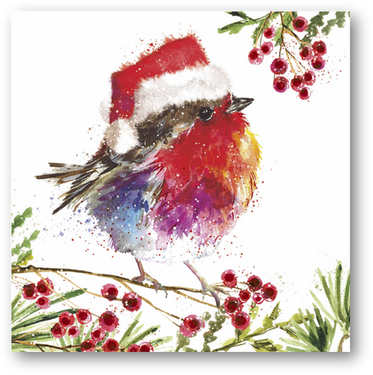 Fluffy Robin on Berries Christmas Cards - 10 pack