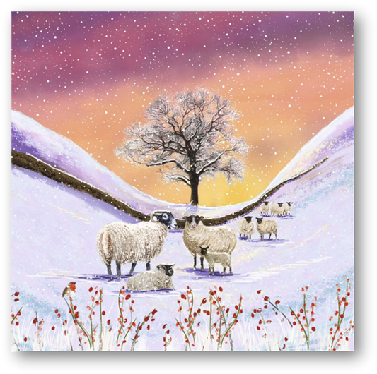 Sheep in the Valley Christmas Cards - 10 pack